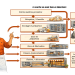 Mise en place de la marche en avant dans nos laboratoires