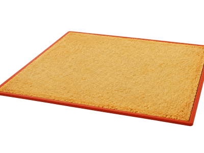 Biscuit progrès amande noisette
